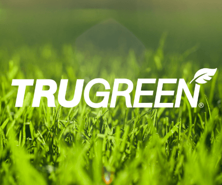 FireRoot Email Marketing