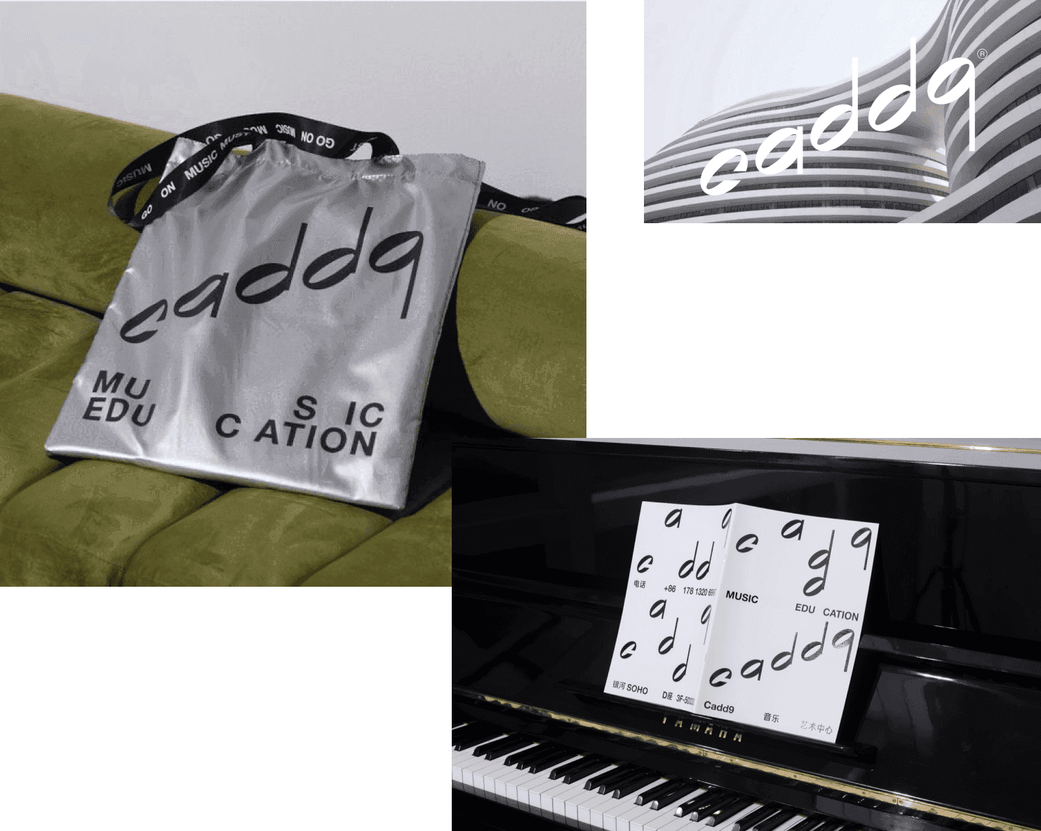caddq brand identity and visuals consistency 
