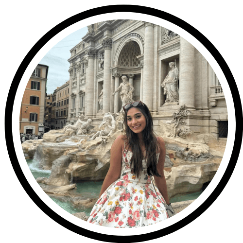 Portrait of a small brown dog on yellow background