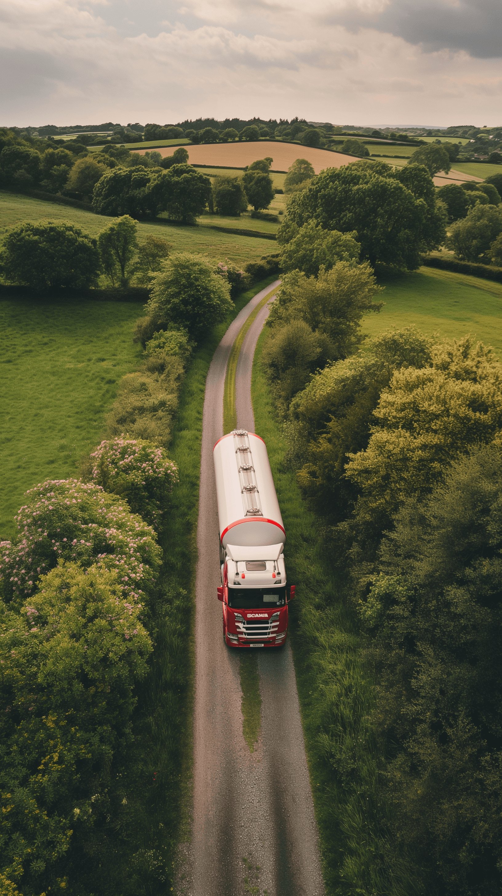 Image of CODAS Developers designing the CODAS products for the fuel distribution industry