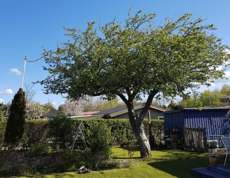 Close-up of a sleek dark green SUV with modern design elements, illuminated against a dark green background.