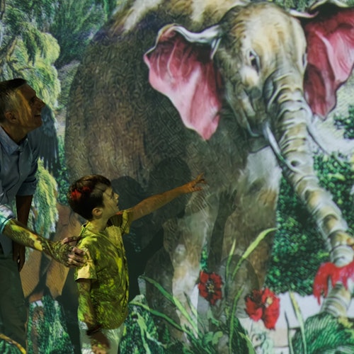 A child points at a projector image of an elephant with pink ears as an adult stands beside him, both illuminated by the projection.