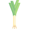 Porro