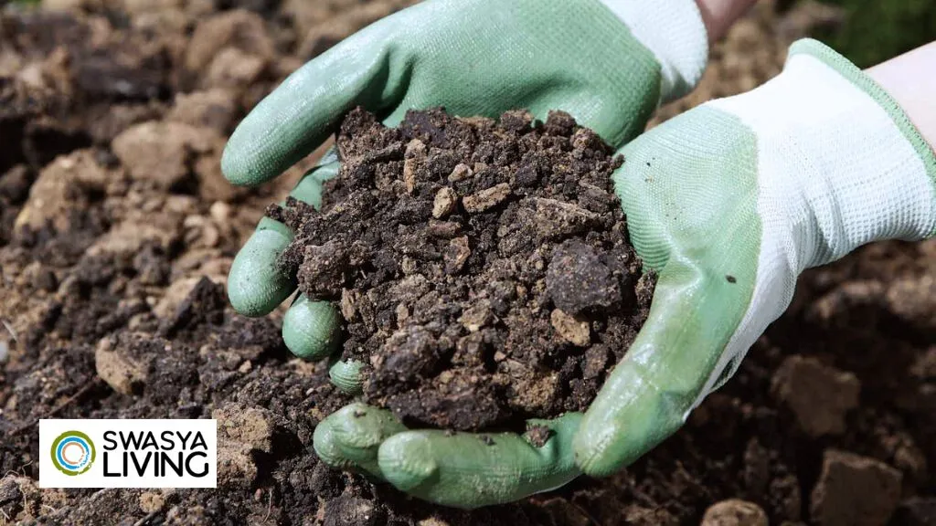 How is Clayey Soil Useful for Crops