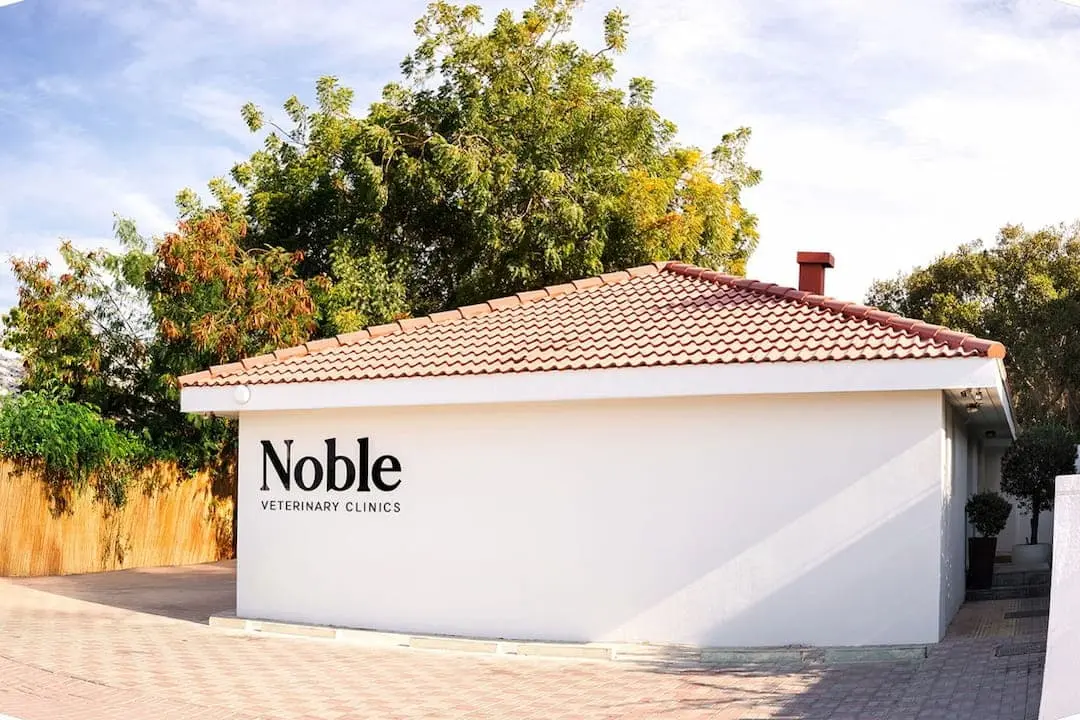 Our clinic exterior reflects the professional pet care environment we maintain inside.