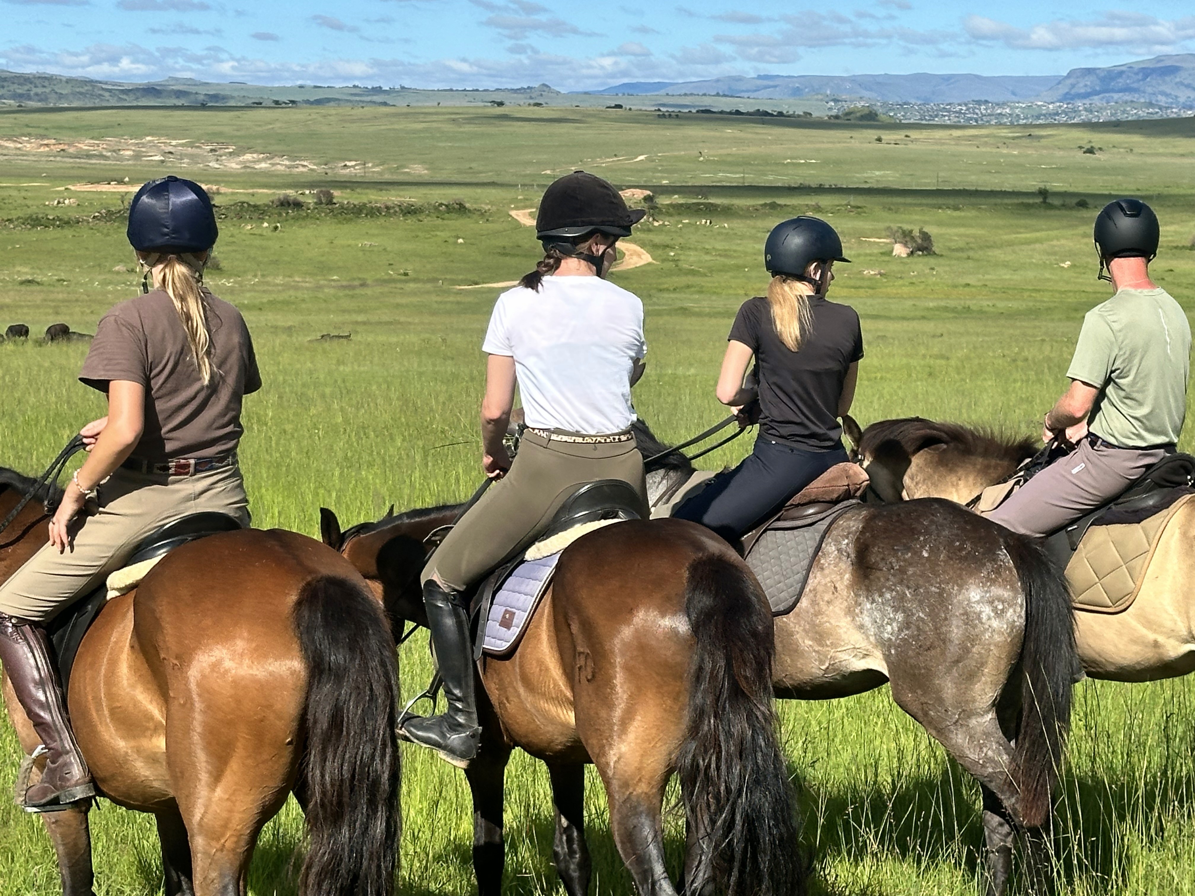 Kilimanjaro Elephant Ride, Arusha National Park, Tanzania – elefant i högt gräs tittar mot kameran, medan fem ryttare till häst på ridsafari i bakgrunden betraktar elefanten i ett grönt och frodigt landskap.