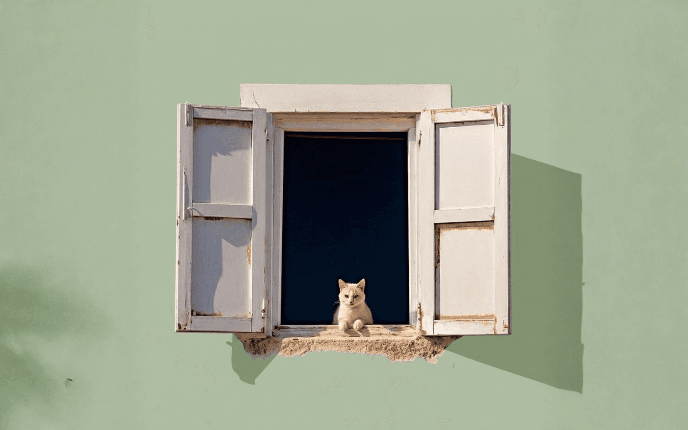 The image featured at the top of the about us page #1