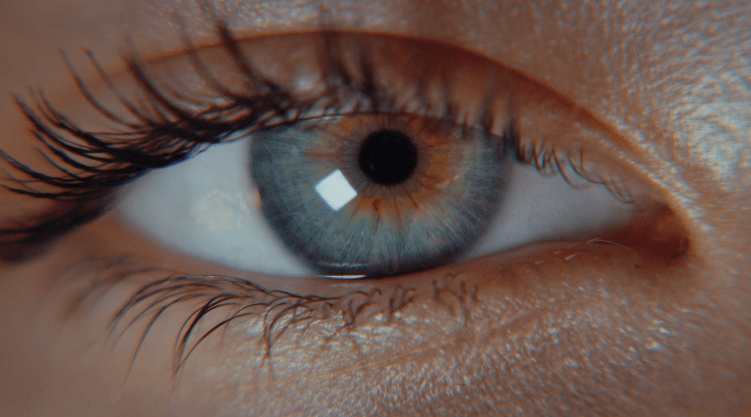 oeil macro