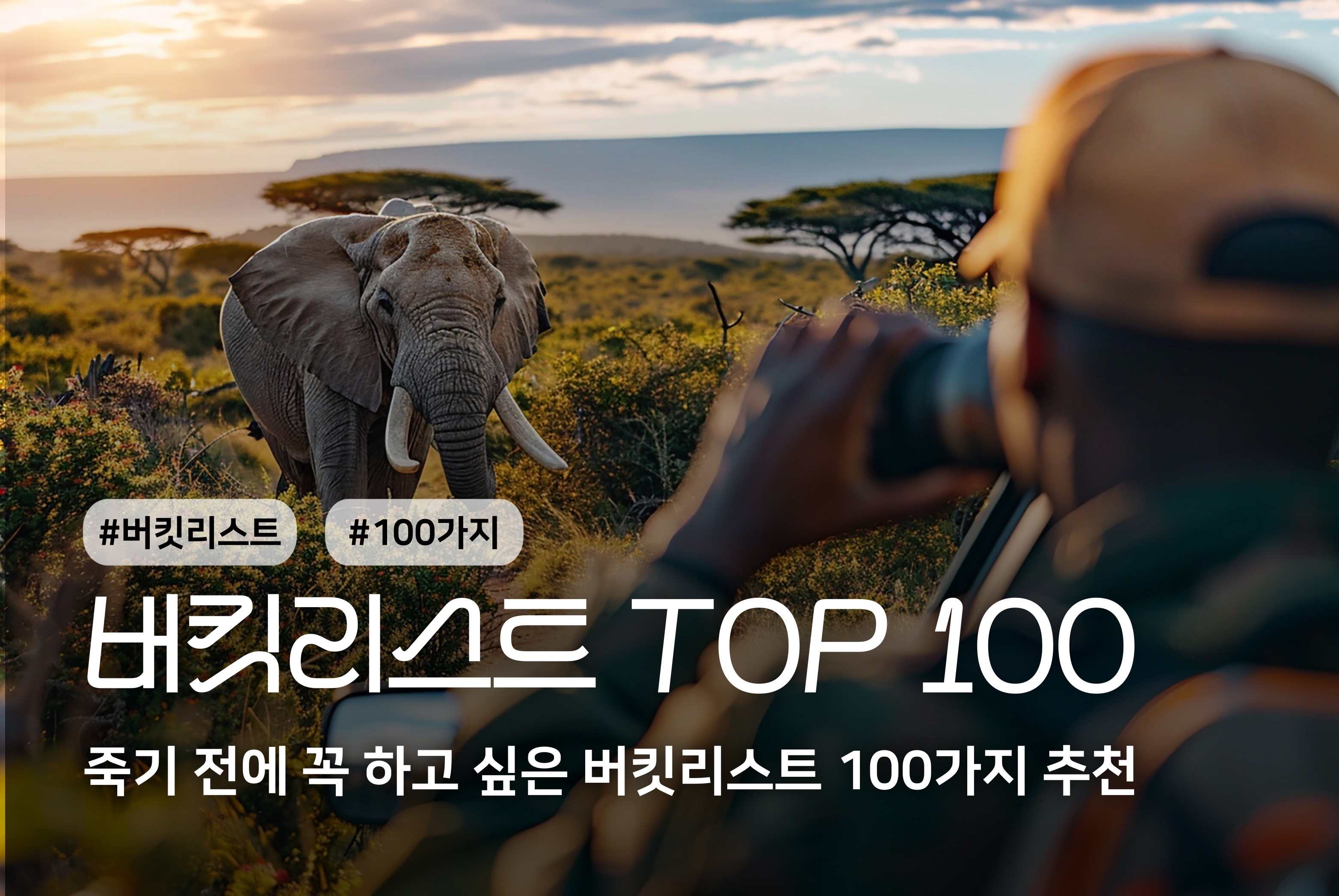 버킷리스트  TOP 100