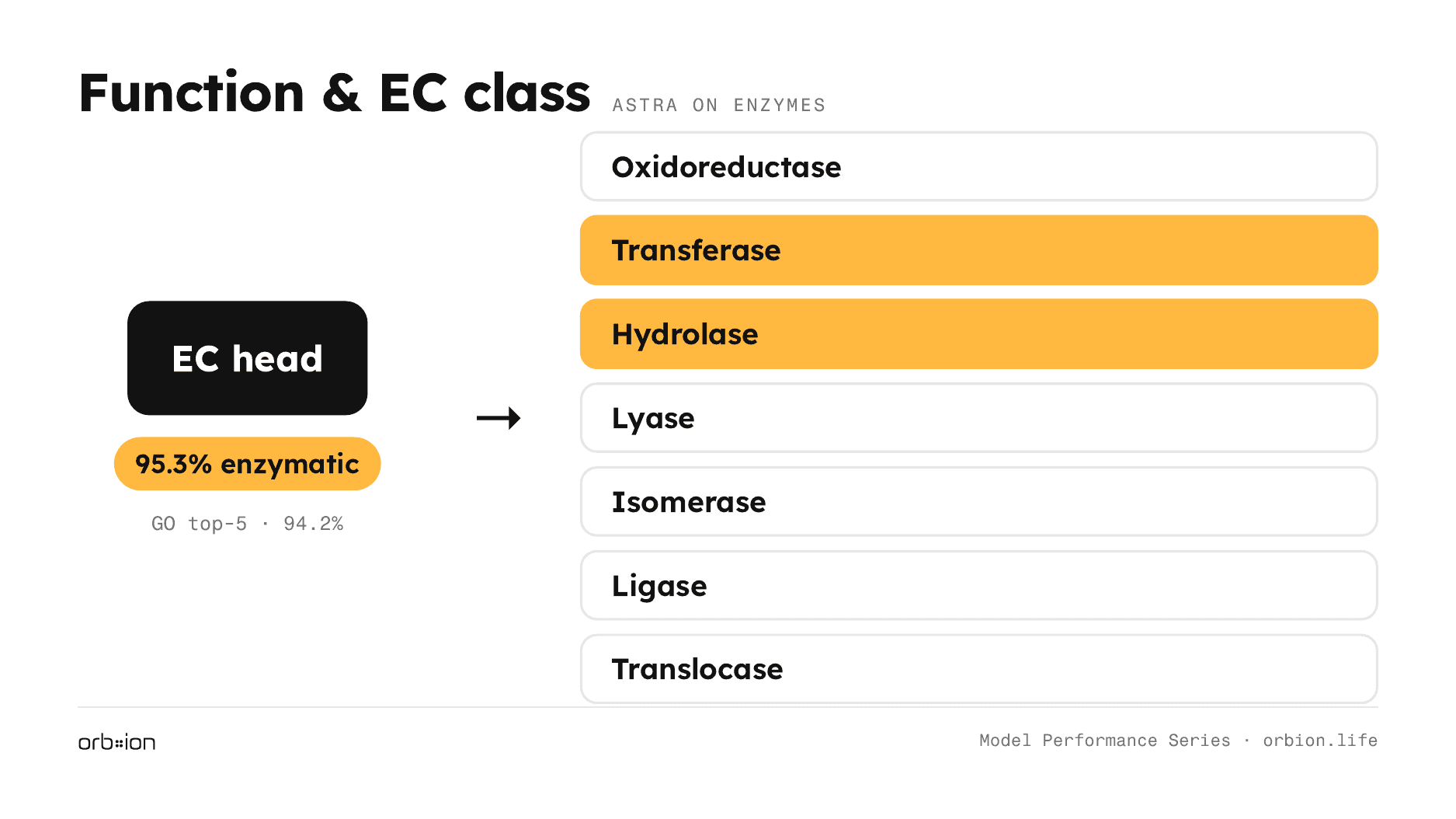 Function leads with the EC head: 95.3% recognized as enzymatic across all seven EC classes