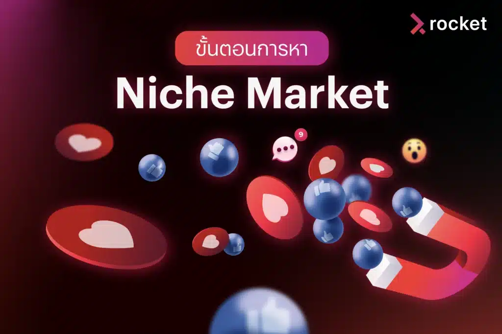 niche-market-example