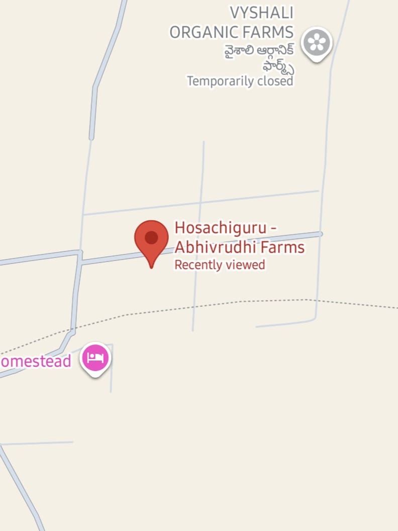 Cozy sleeping bed high in the mountain with a sunset view