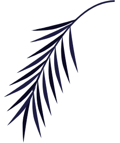 Pattern Image