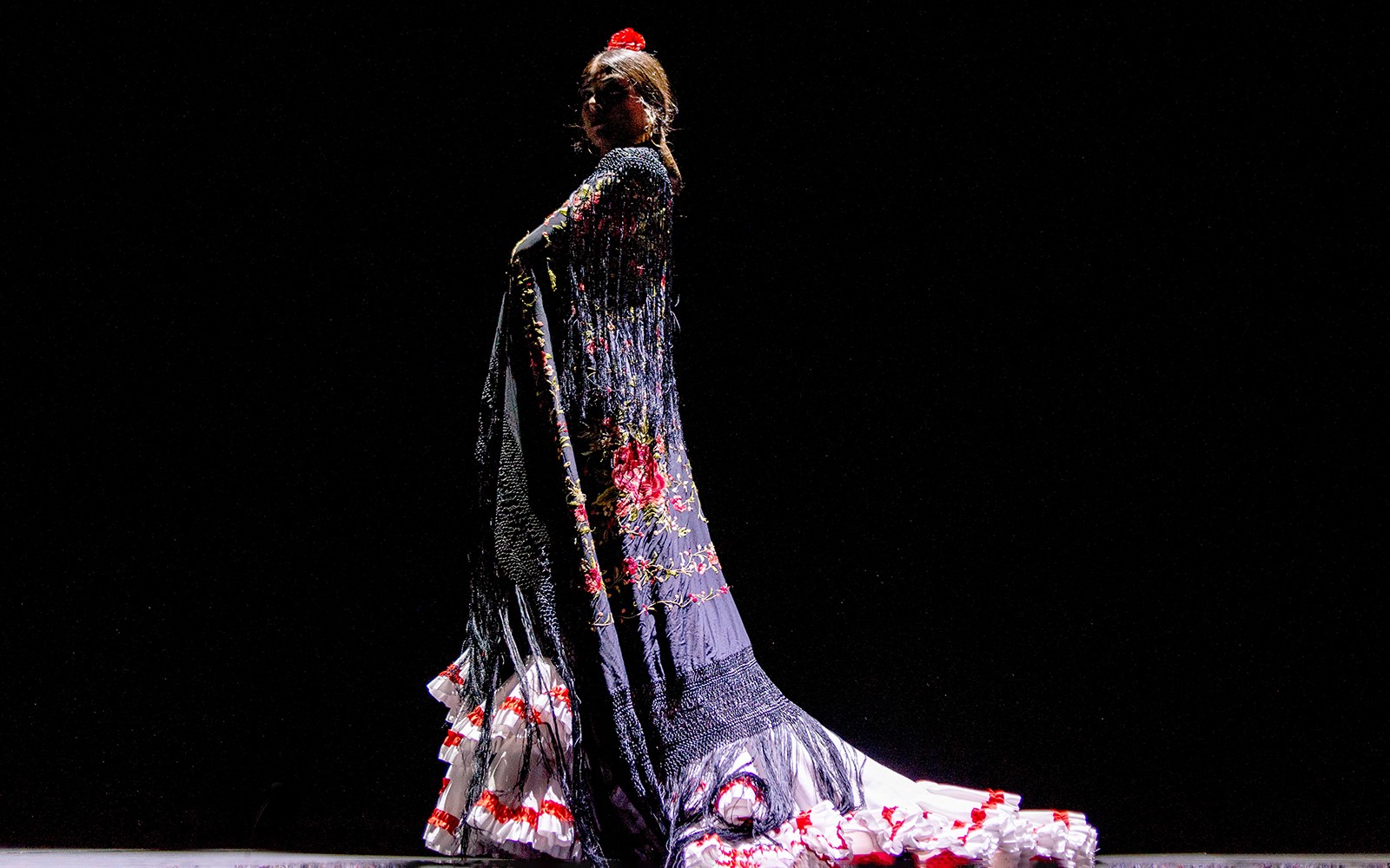 Flamenco dancer performing in traditional dress at Esencia show.