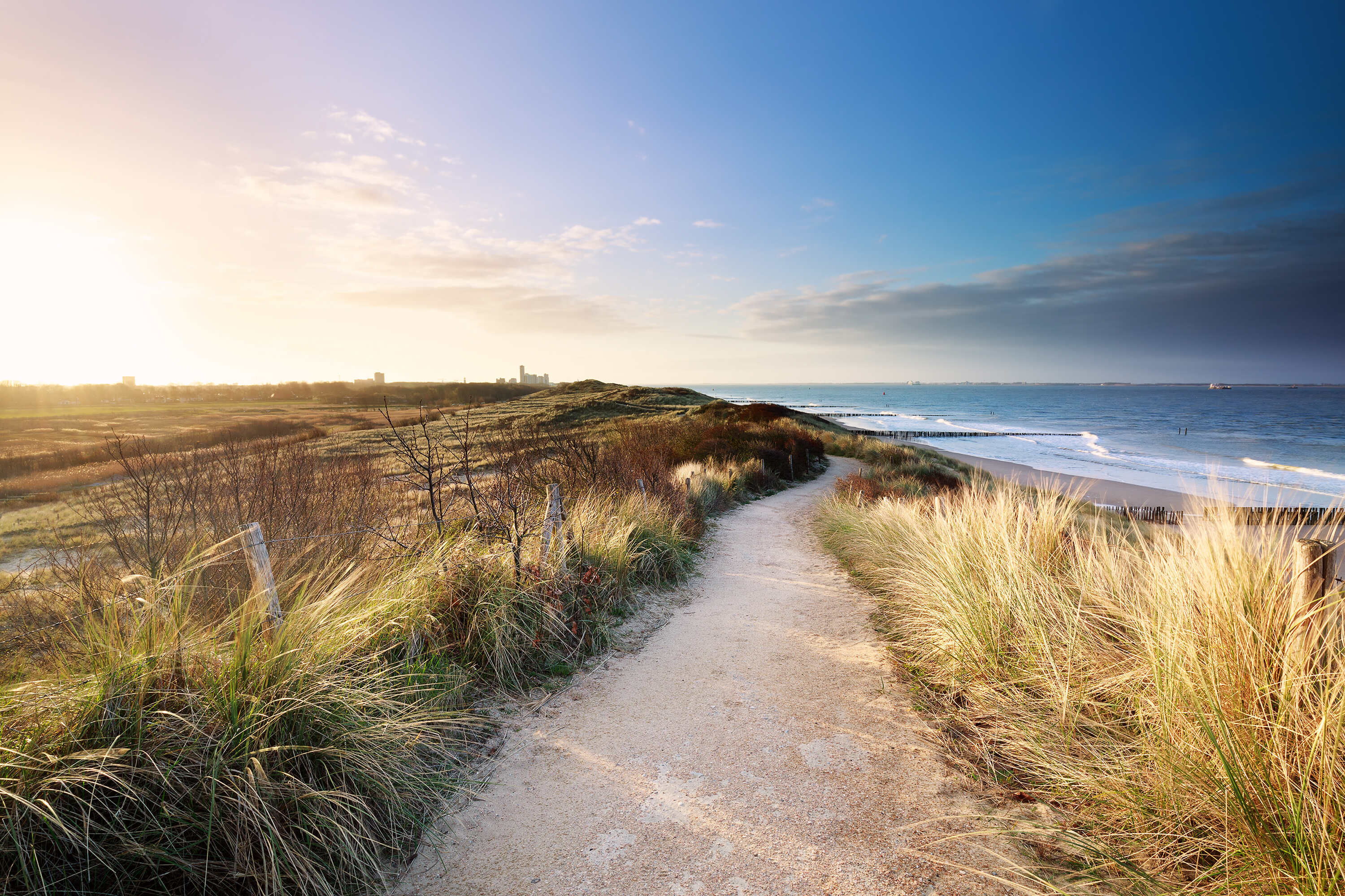 A picture of a pathway next to a beach