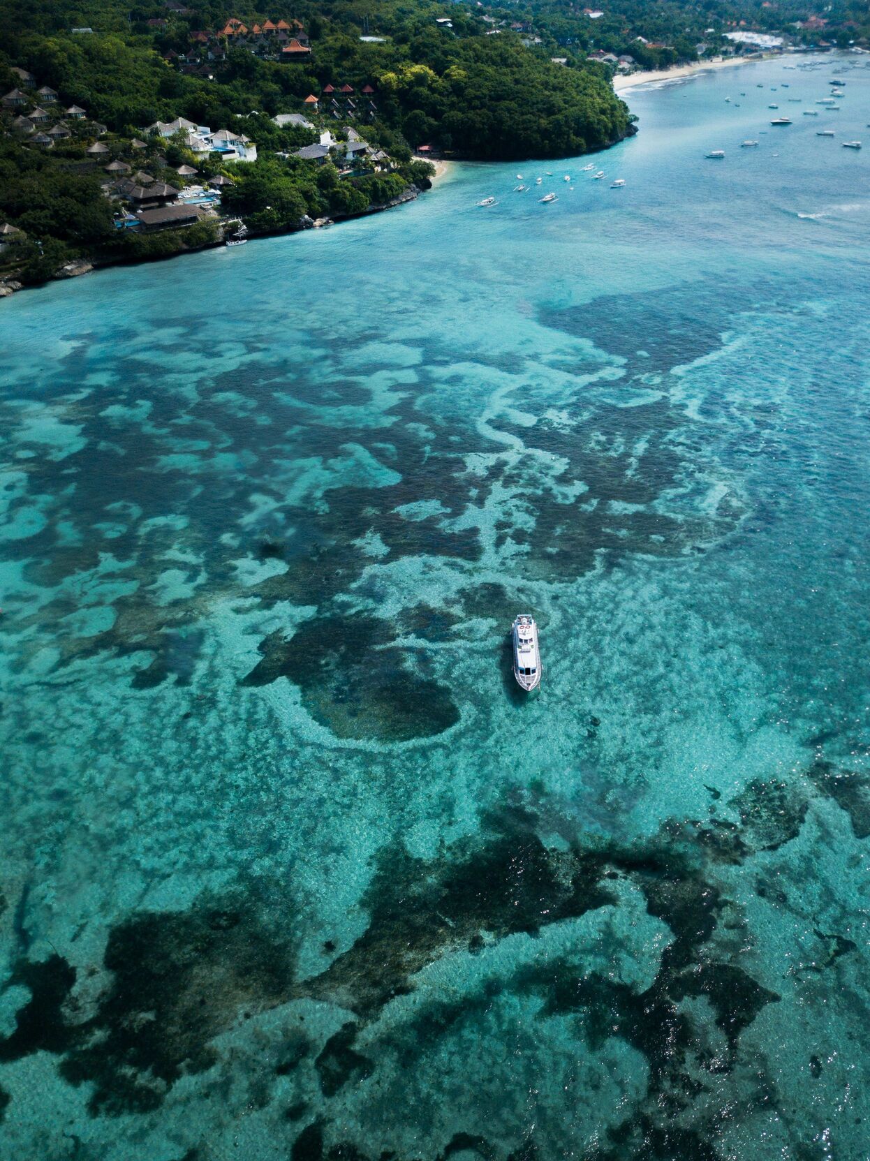 Coral retreat