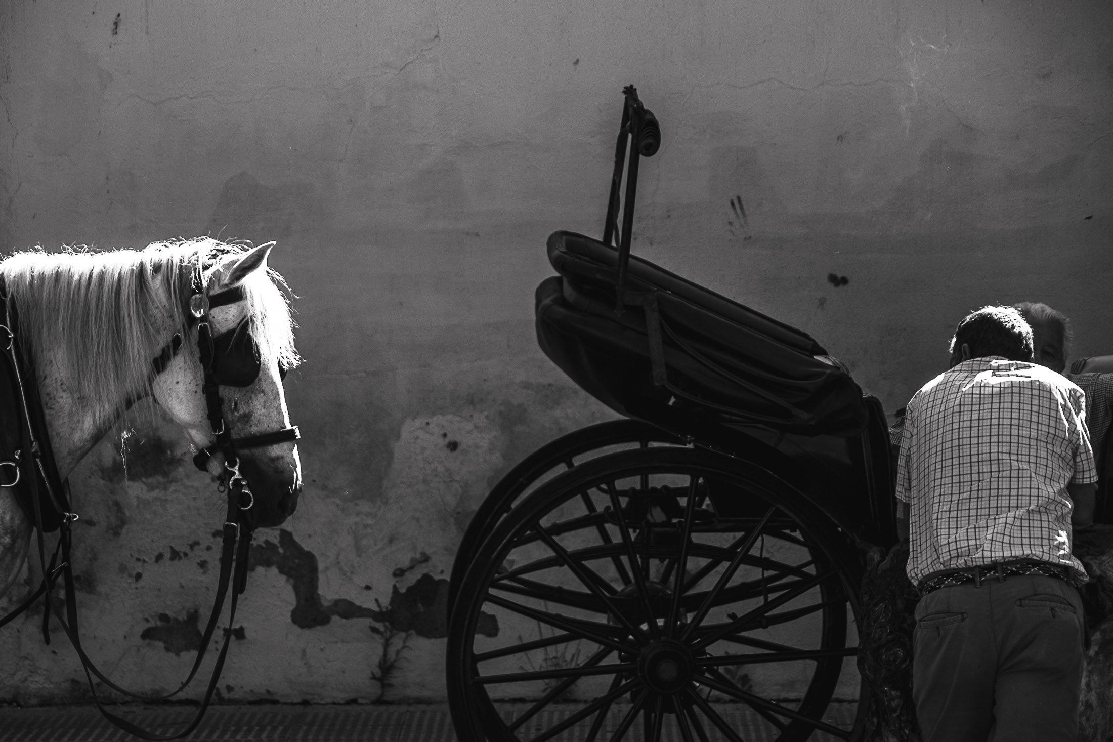 Black and white documentary photograph of a horse and carriage beside a man in an urban street setting