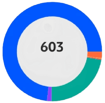 Donut chart showing ticket distribution by category, totaling 603 tickets