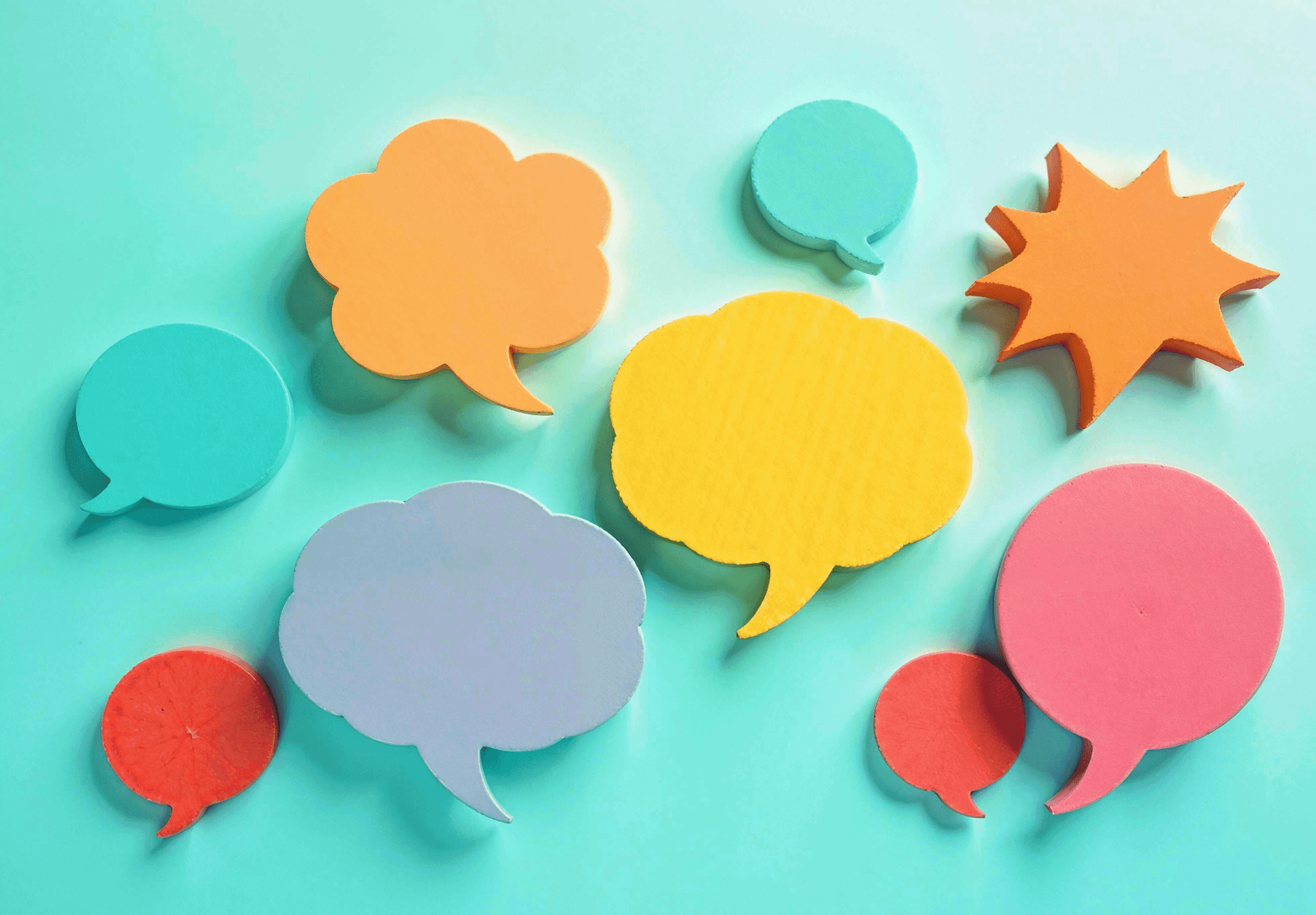 BULK (11.5 x 8 in) (17).png