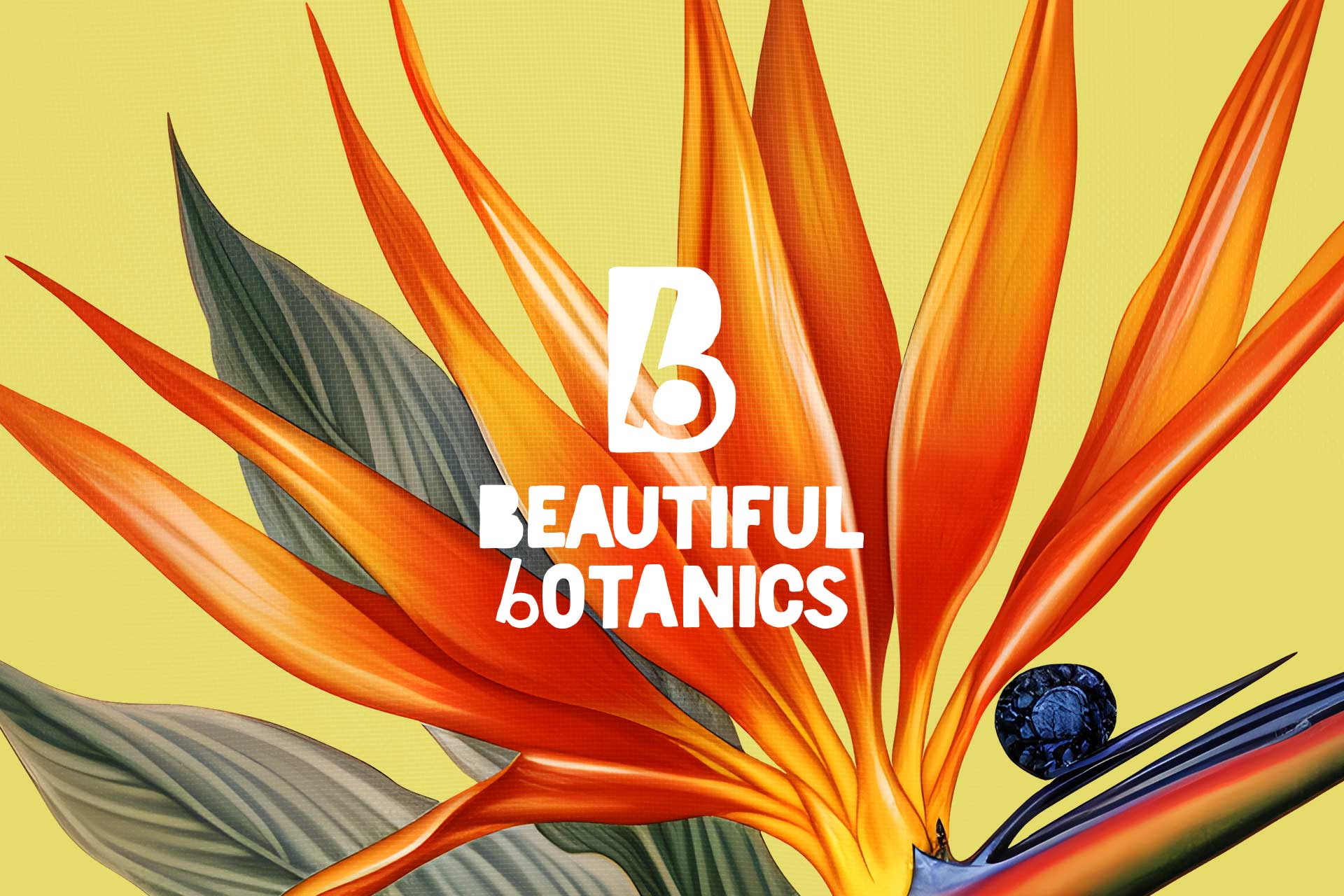 Titelbild für das Logo von Beautiful Botanics mit einer exotischen Pflanze im Hintergrund.