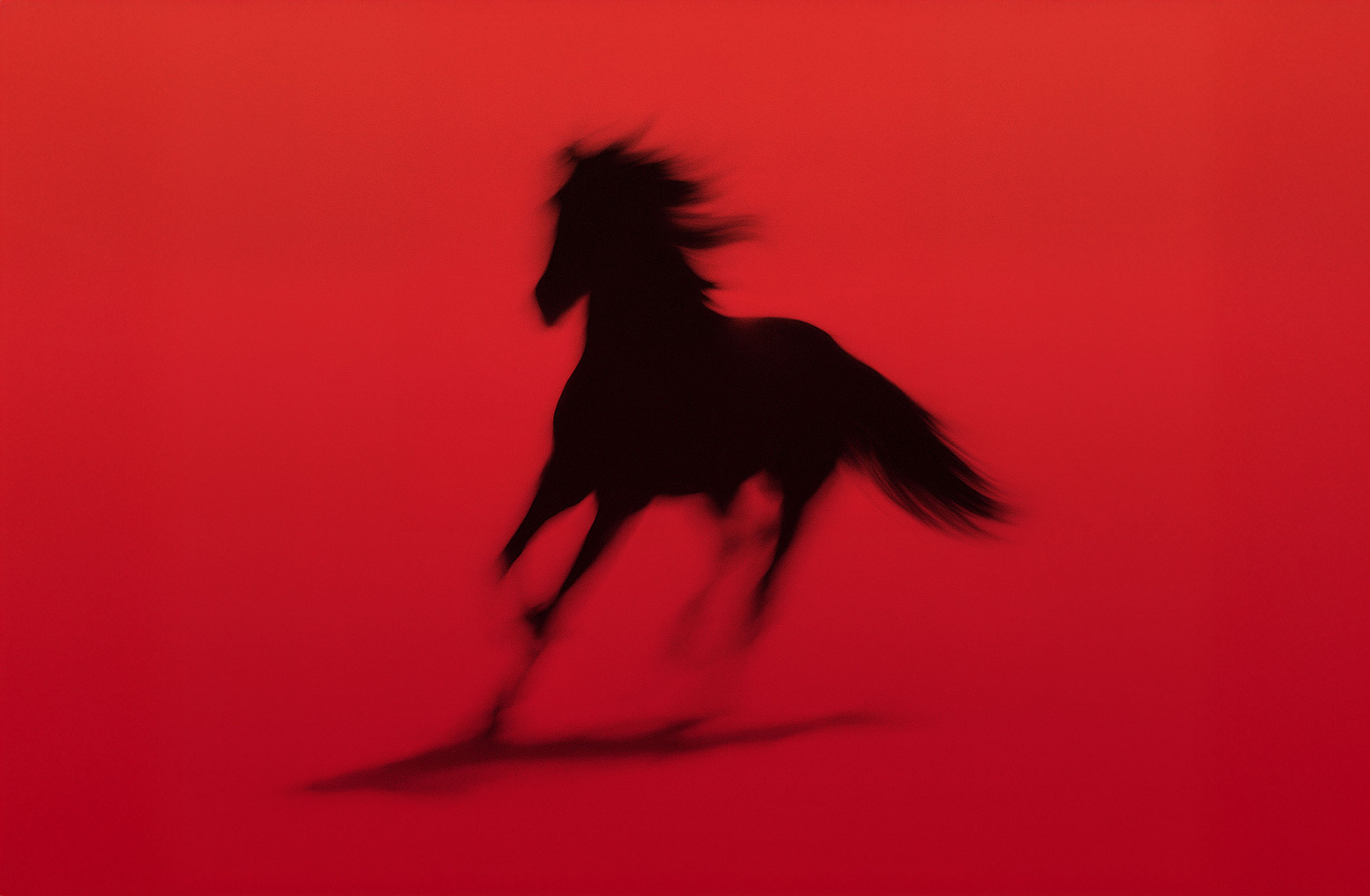 Silhouette of a horse galloping on a red background.