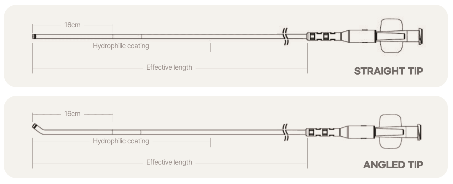 structure diagram(olive)