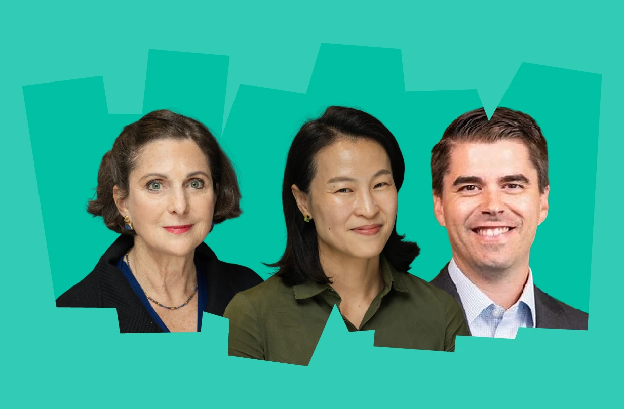 aerial view of green trees