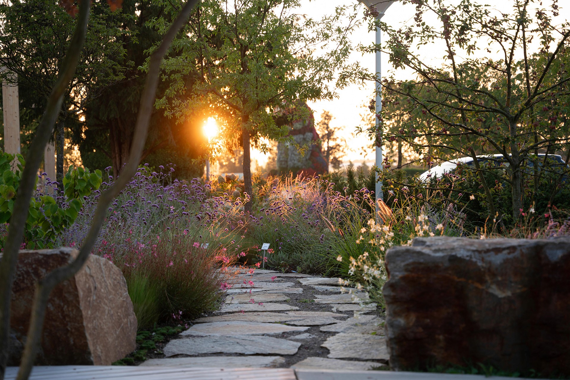 Natursteinweg durch blühende Staudenbeete mit großen Felsen und warmem Abendlicht.