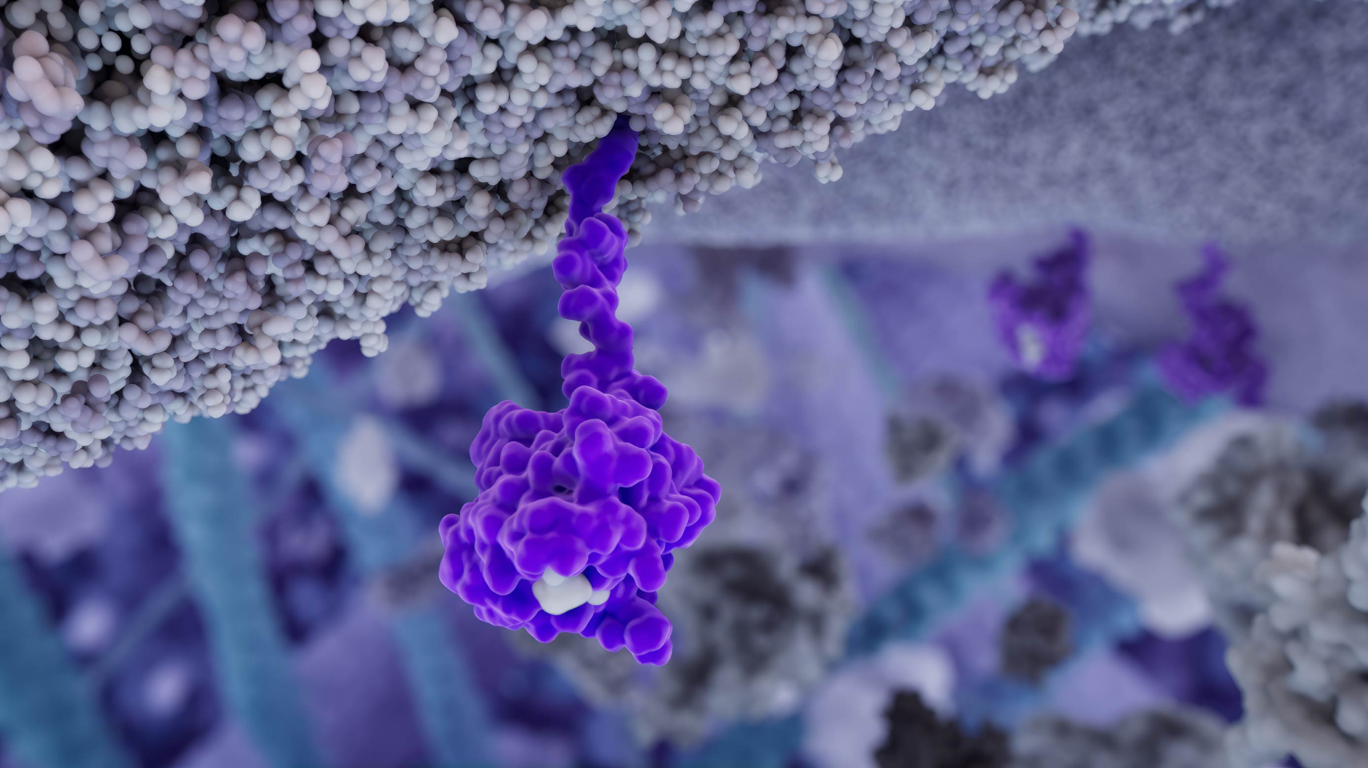 RAS molecule in the membrane