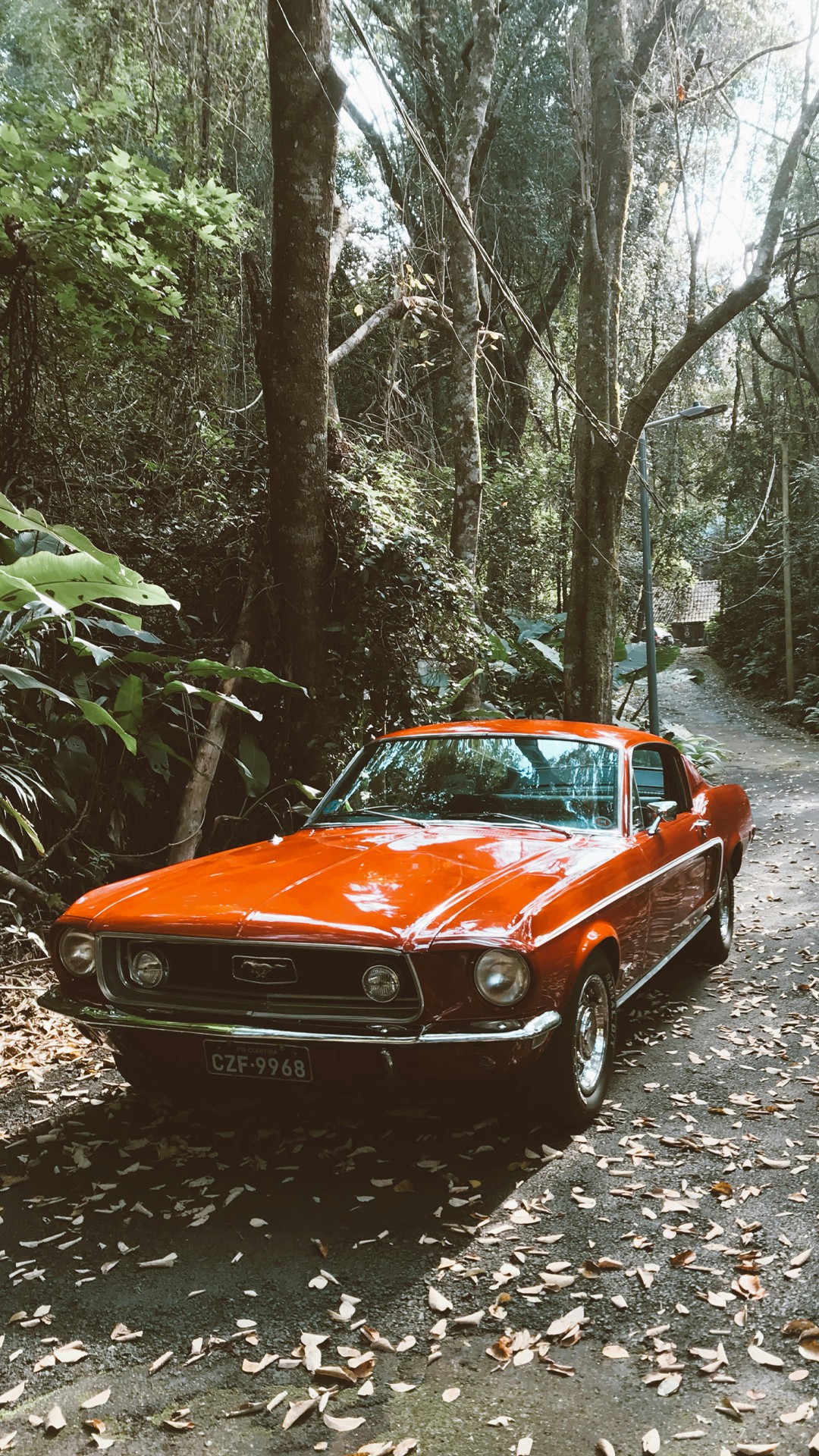 Image of a minimal home interior