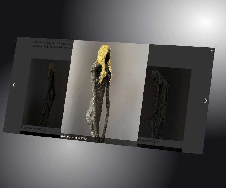 Webová halerie na míru