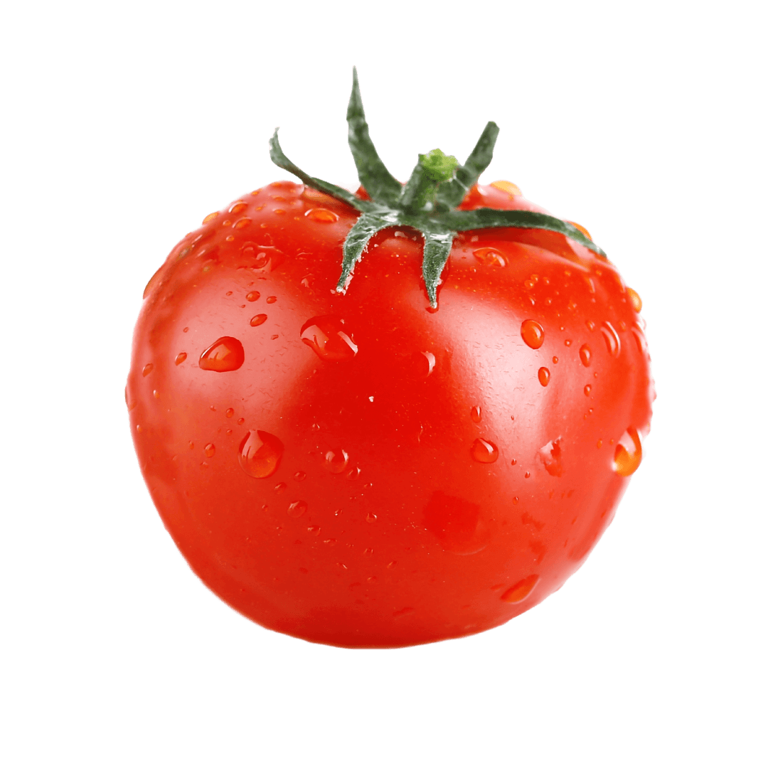 มะเขือเทศอบแห้ง Dried Tomatoes สำหรับผลิตภัณฑ์ OEM