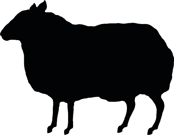 Bull corporate events management client