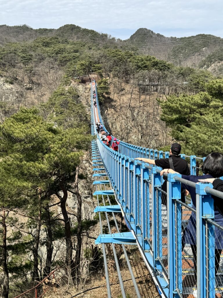 People queuing up on the Wonju Suspension Bridge
