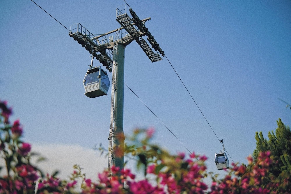 Cable car trip with beautiful flowers