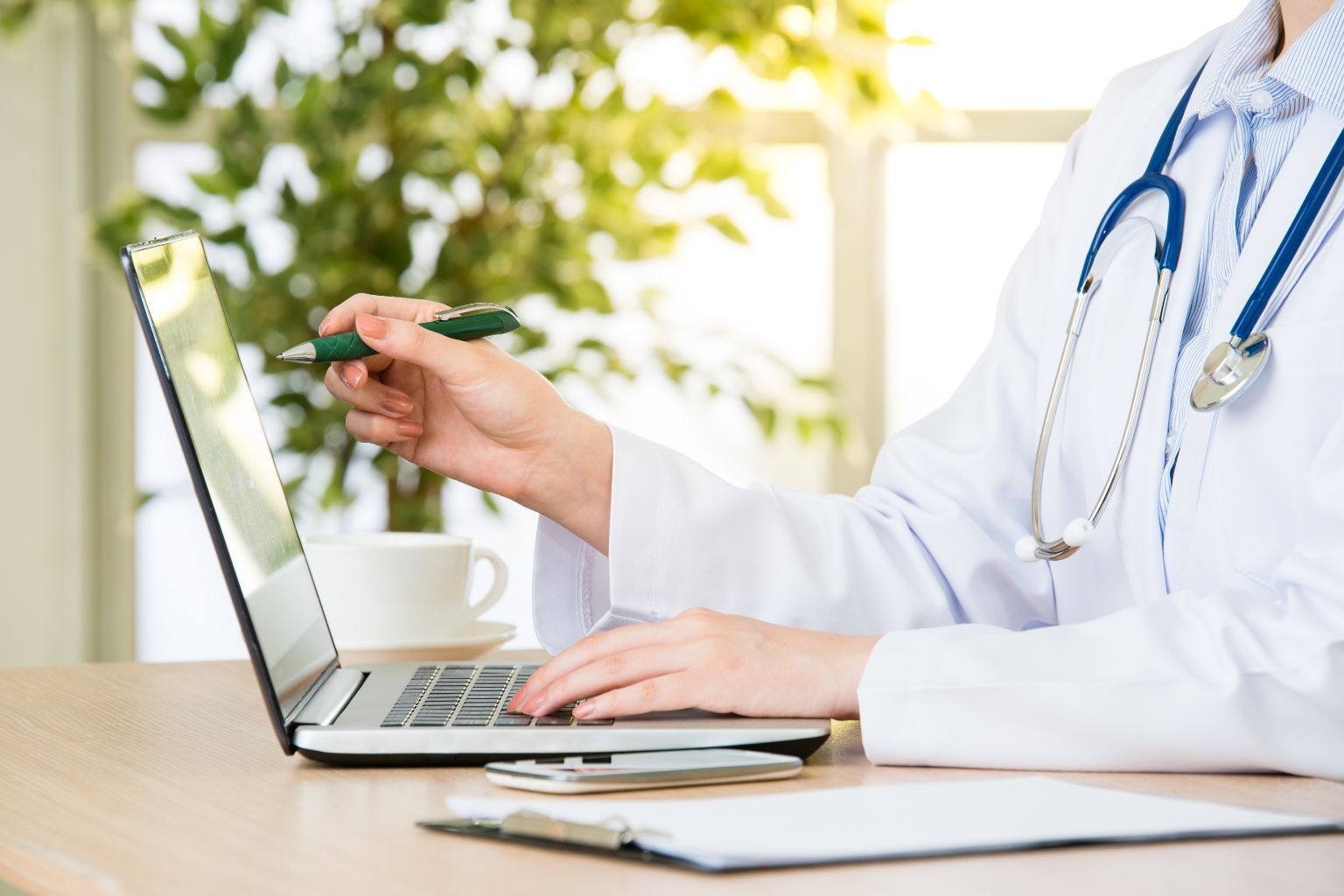 Doctor Using Computer