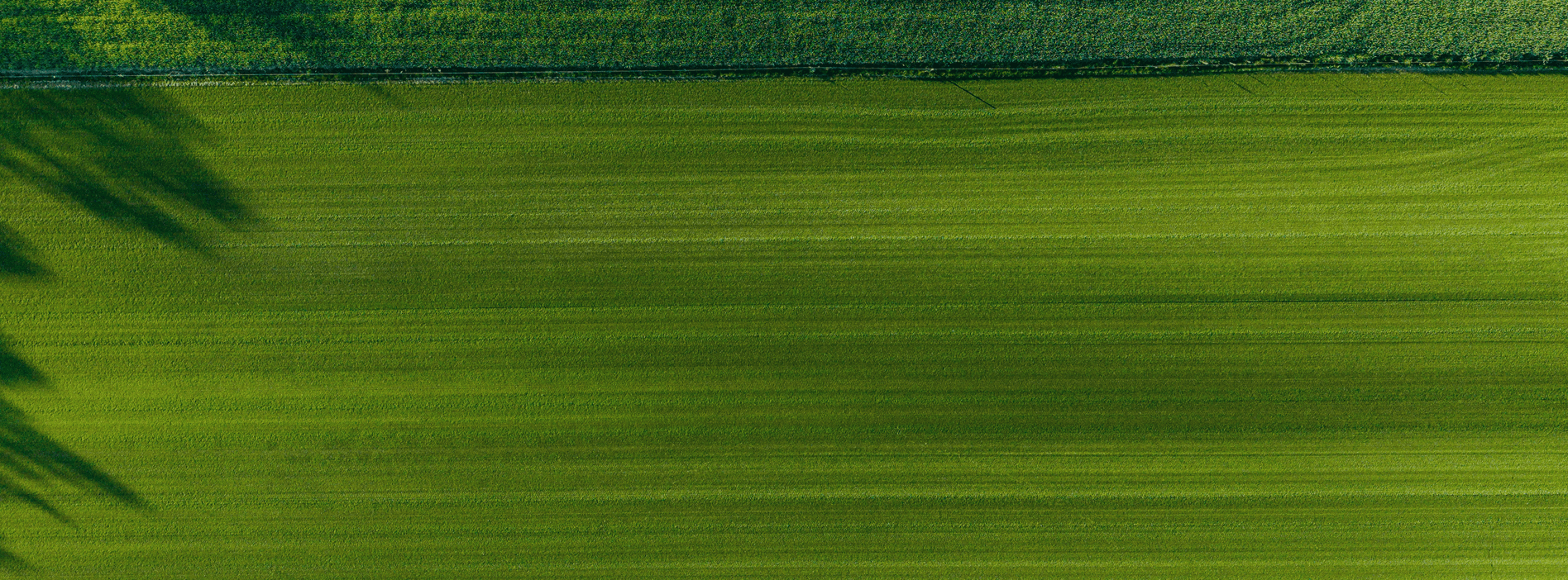 Bg Image