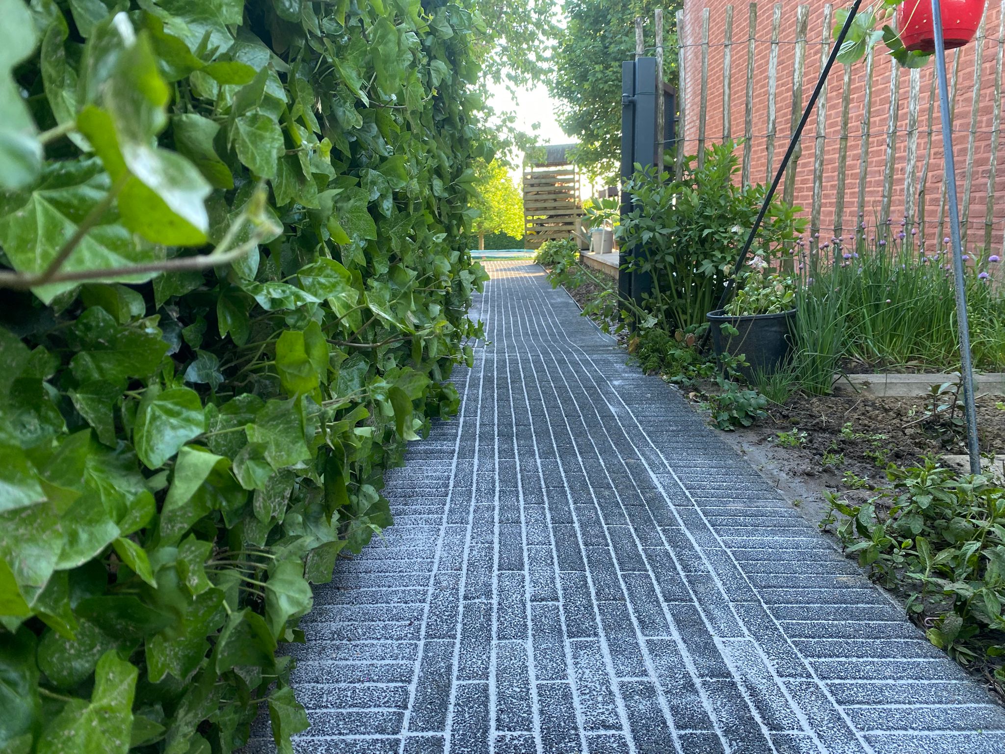 Outdoor Image