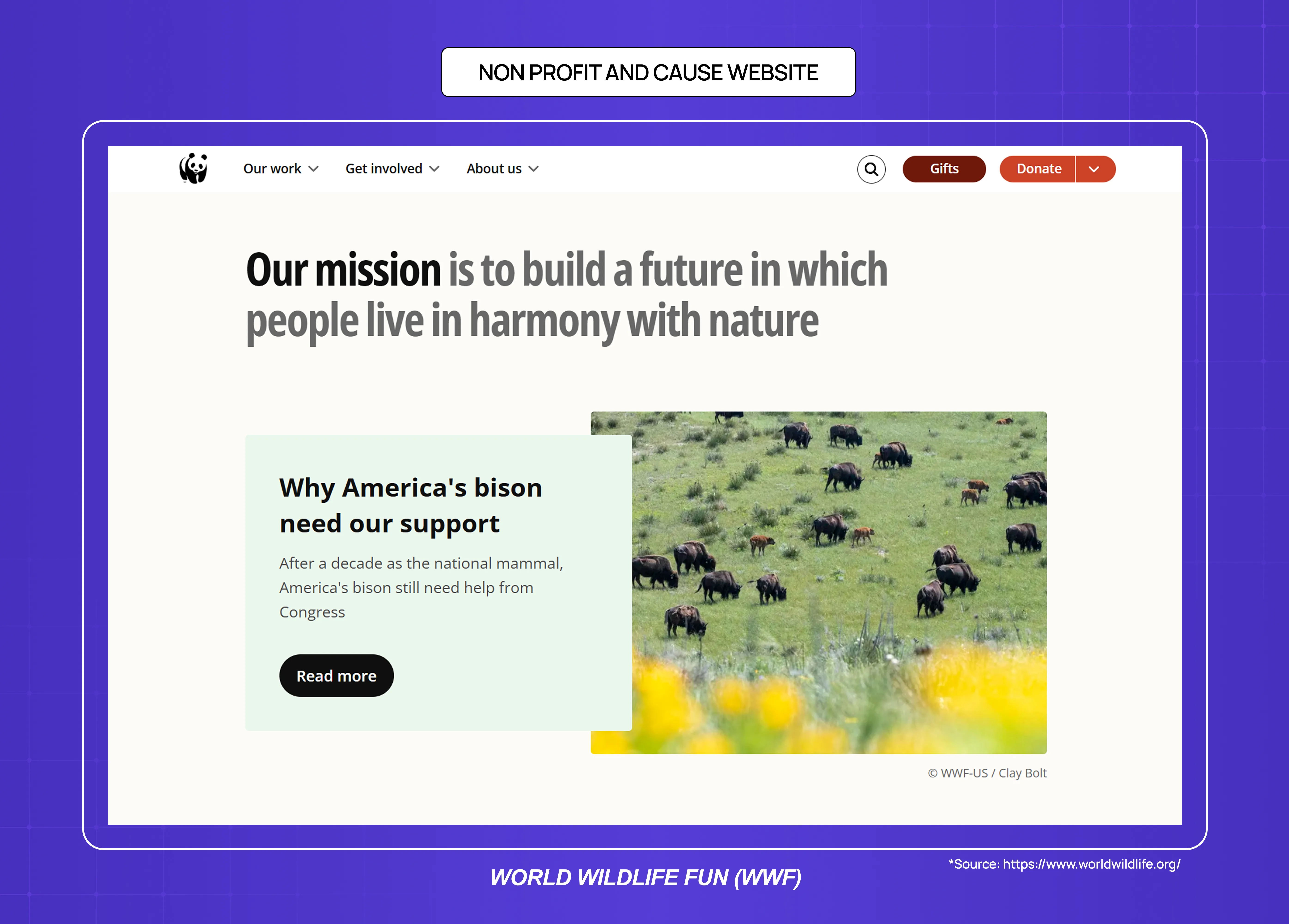 WWF nonprofit website homepage featuring a mission-driven hero section, wildlife imagery, and donation-focused navigation.