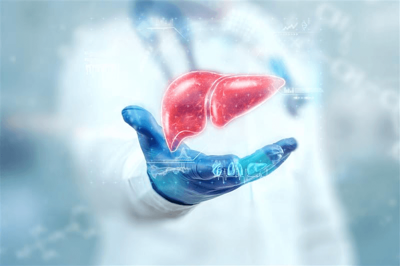Liver Transplant