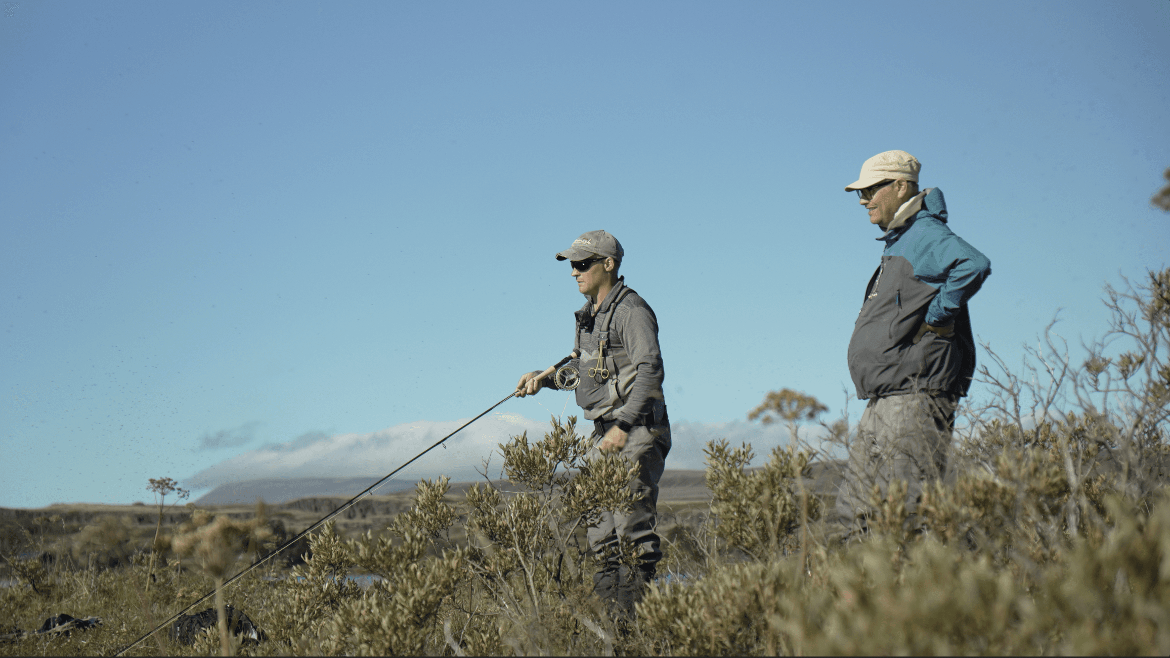 Island, Brown Trout, Arctic char, fjeldørred
