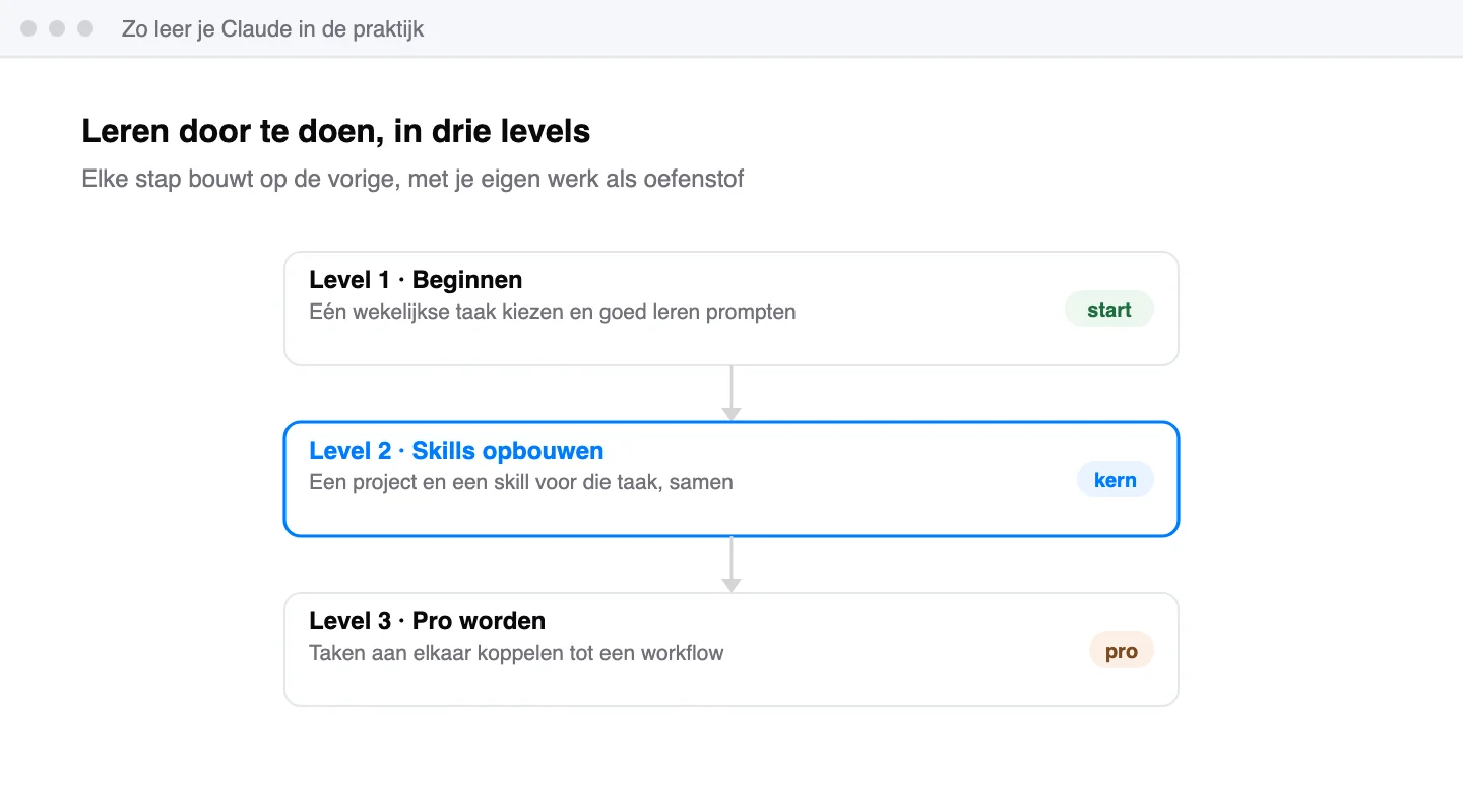 Drie levels onder elkaar: beginnen met één wekelijkse taak, skills opbouwen met een project en een skill, en pro worden met een workflow