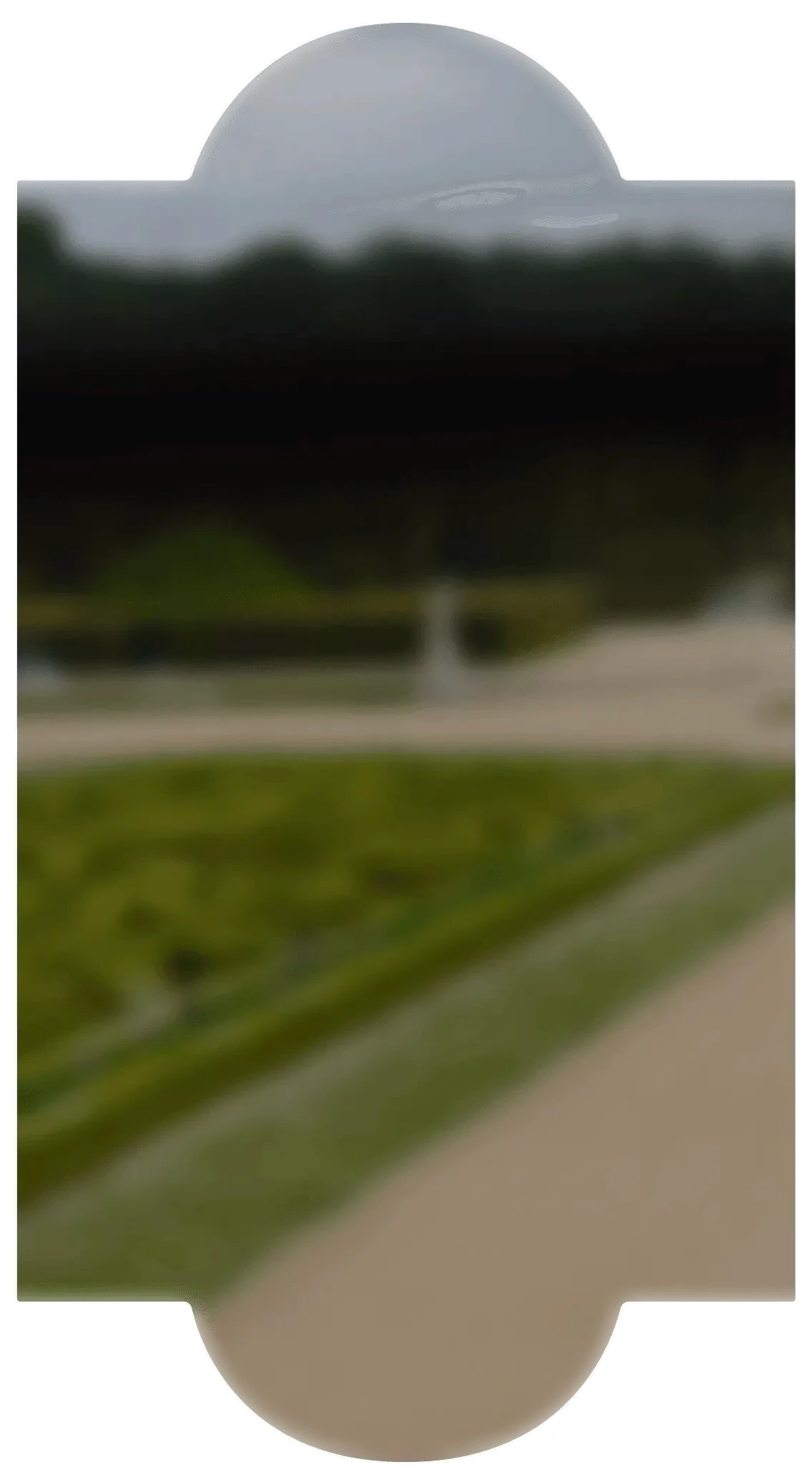 Frame