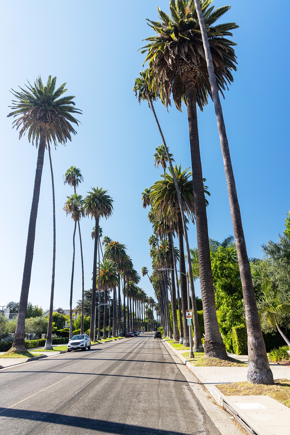Beverly Hills - Appraisal Offers