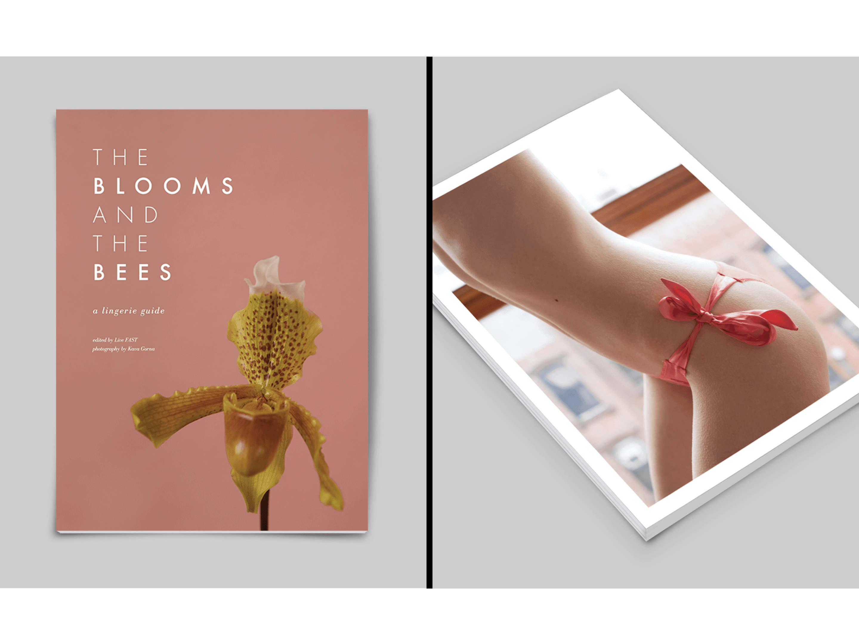 Blooms and Bees - cover