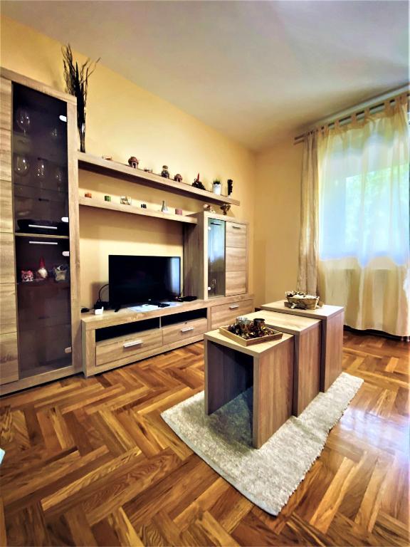 Slika Deluks Apartmana u Novom Sadu.