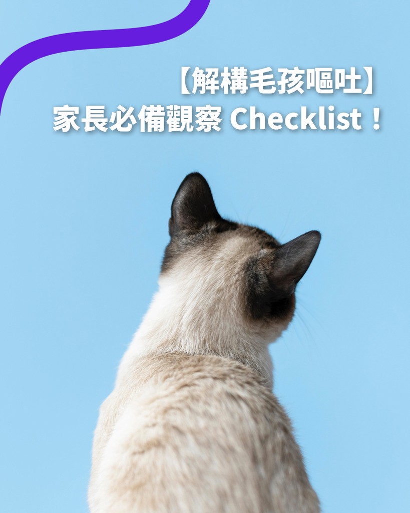 Pet Boo AI blog 