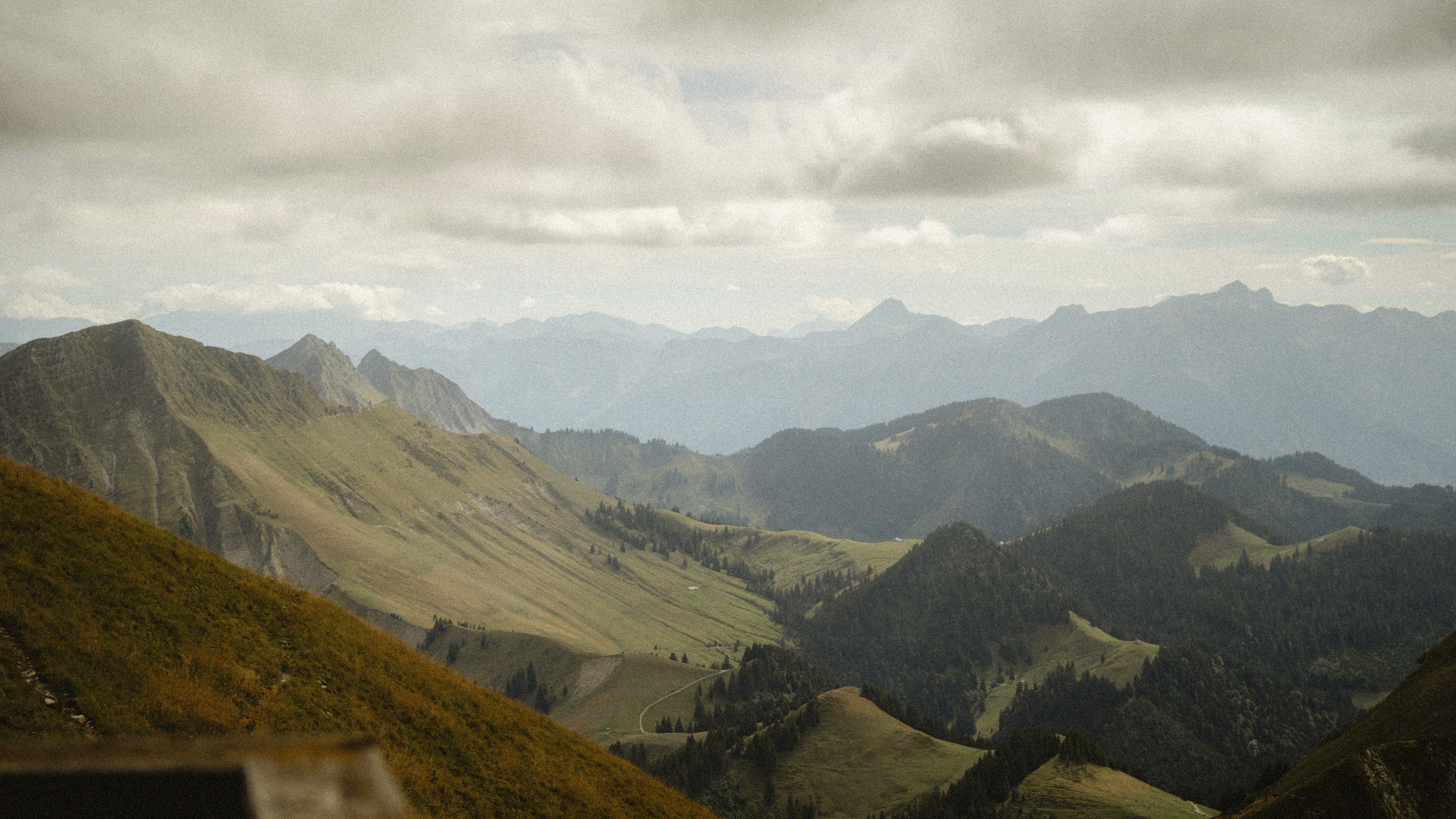 Blick von einem Grat über bewaldete Hänge auf die Freiburger Voralpen