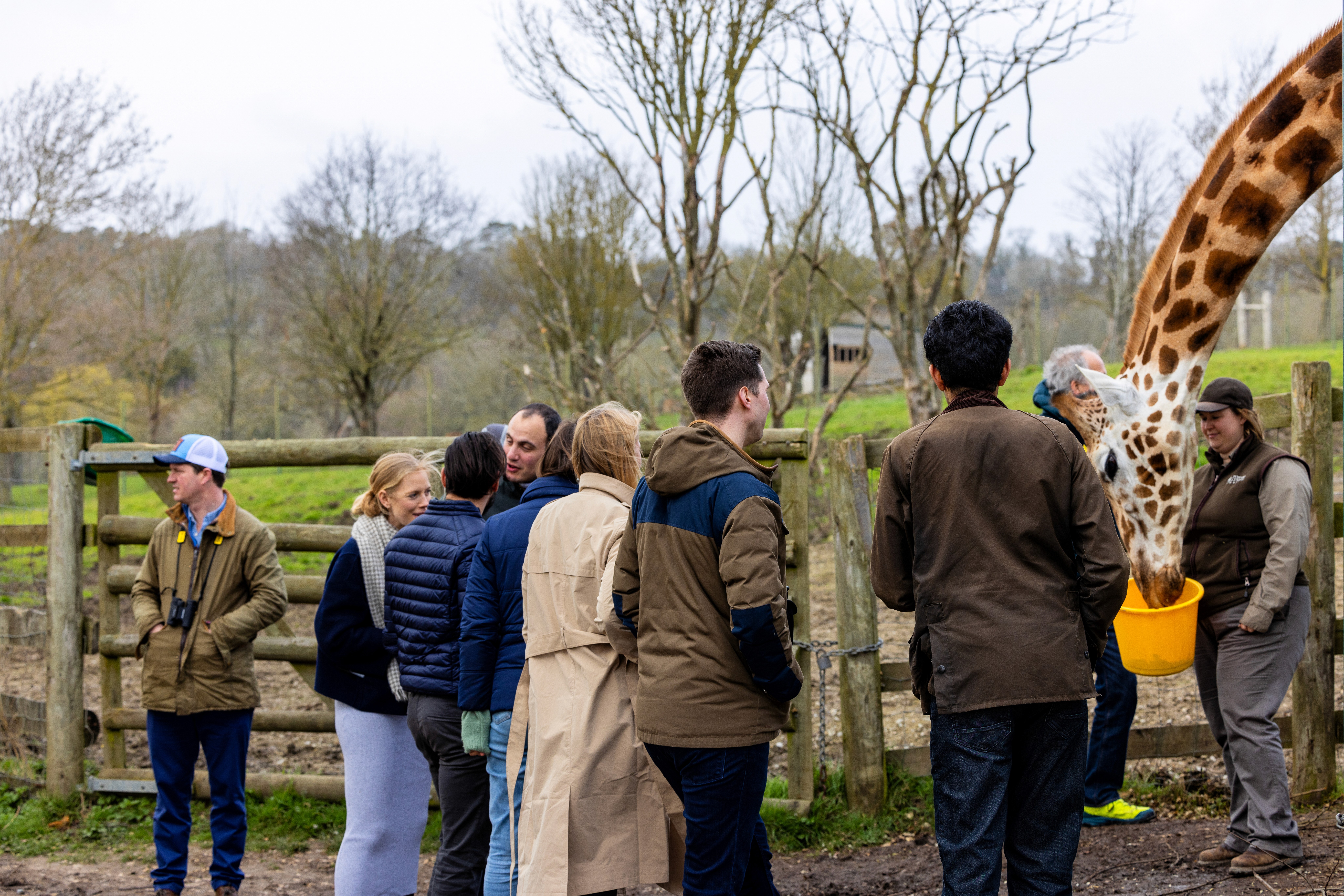 Snow-covered chalet venue for IQUW corporate ski event