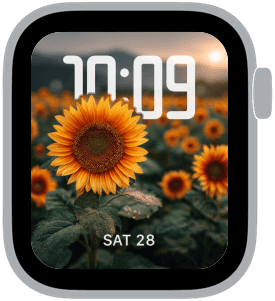 sunflower fields Apple Watch face preview 5 featuring floral and summer.